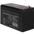 Аккумулятор для тележки WH-25ES 6V/1Ah свинцово-кислотный (WET battery)